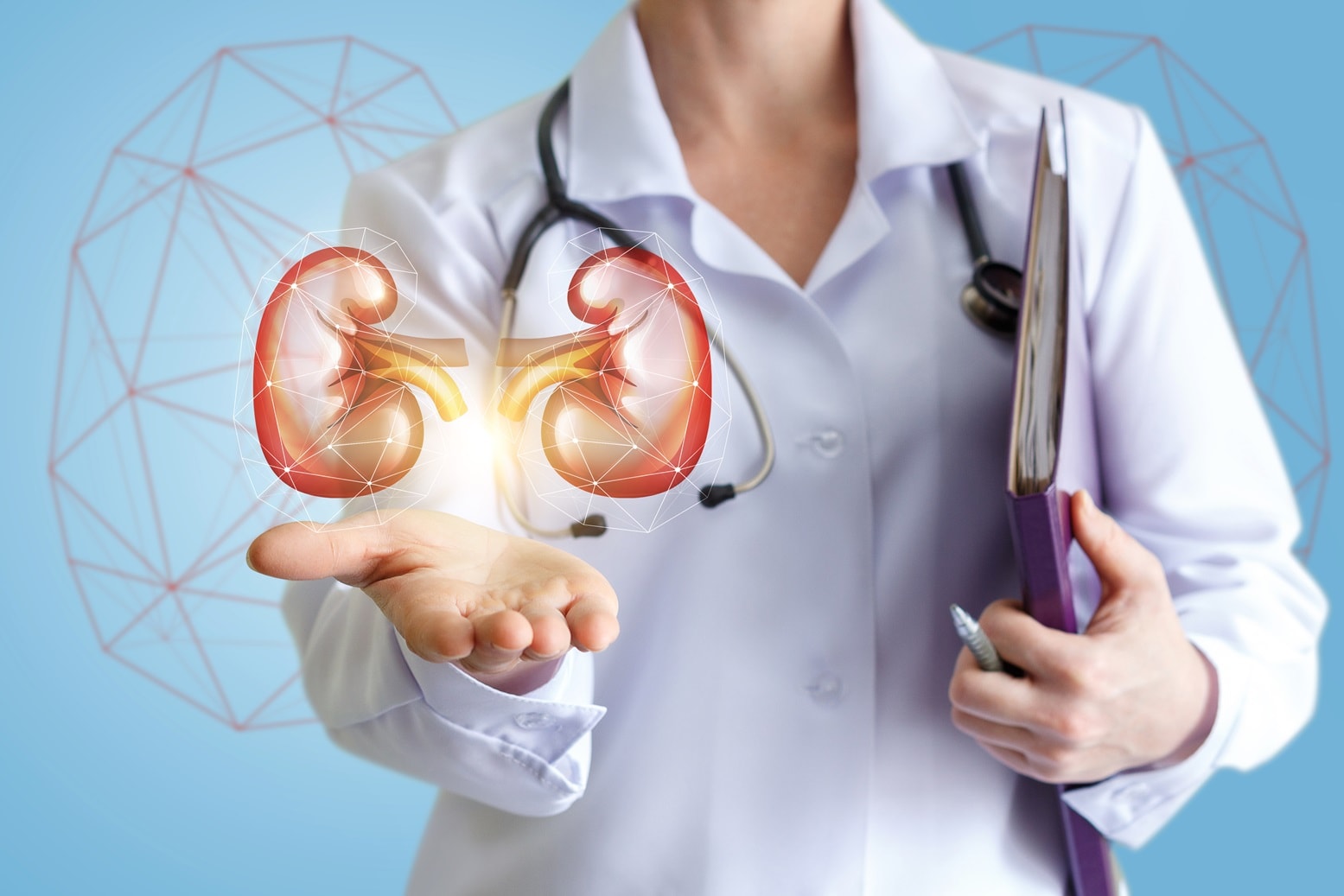 Saúde dos Rins para Todos: Educando sobre a Doença Renal